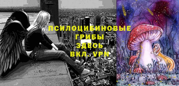 jwh Абаза