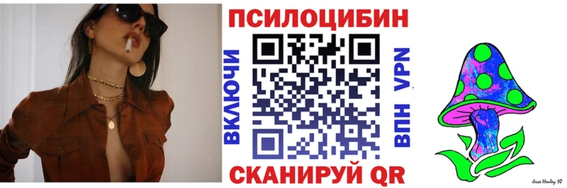 kraken зеркало  Ладушкин  Псилоцибиновые грибы Psilocybine cubensis 
